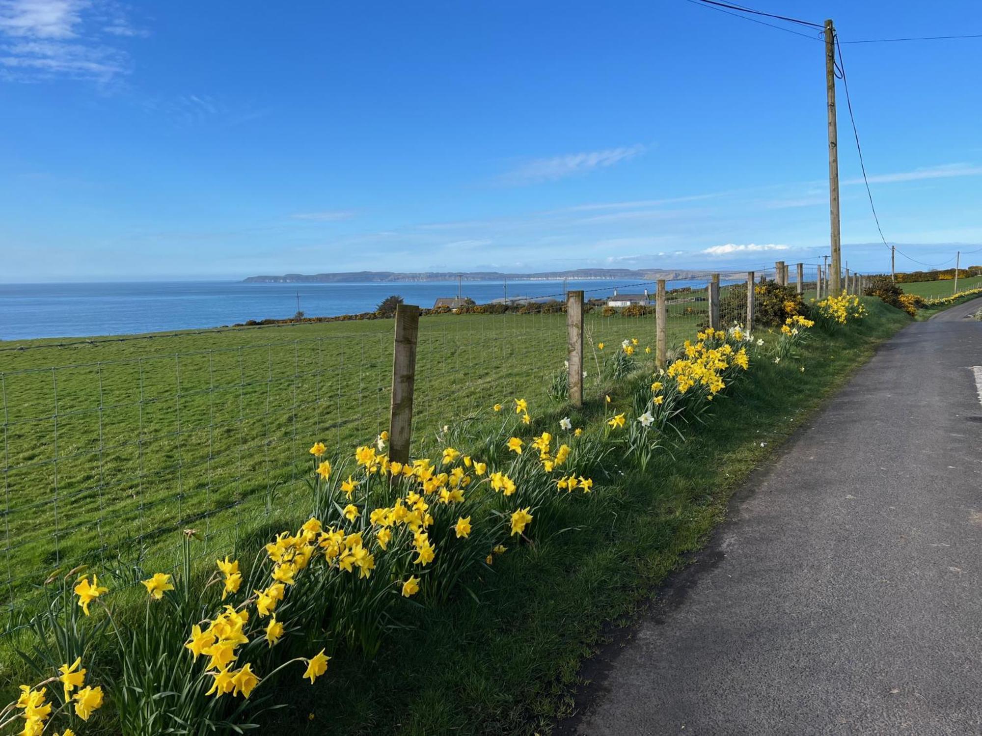 Tornaroan Cottage Ballycastle Bagian luar foto