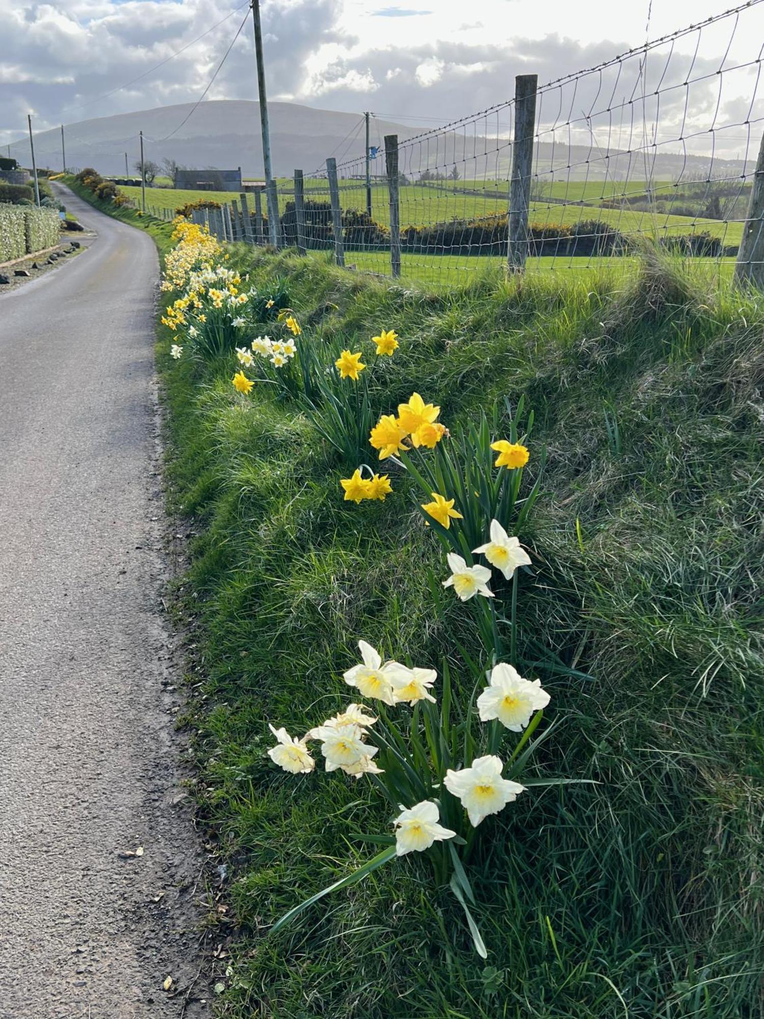 Tornaroan Cottage Ballycastle Bagian luar foto